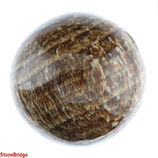 Aragonite Brown Sphere - Extra Small #4 - 2"    from The Rock Space