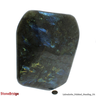 Labradorite Standing Slice Full Polished U#6 - 10 1/2"    from The Rock Space