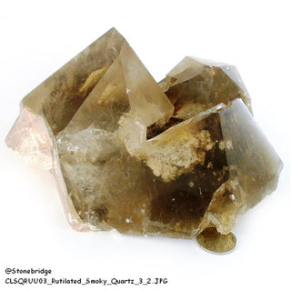 Smoky Quartz Rutilated Cluster U#3    from The Rock Space