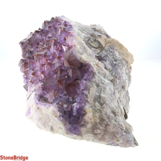 Amethyst Cluster Thunder Bay U#10 - 1.5Kg    from The Rock Space