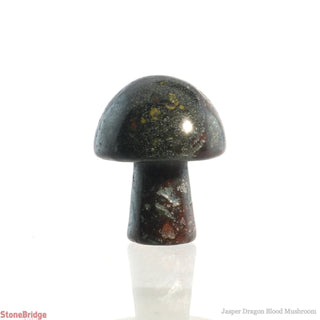 Jasper Dragon Blood Mushroom    from The Rock Space