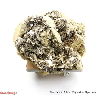 Albite Crystal Specimen U#5 - 20"    from Stonebridge Imports