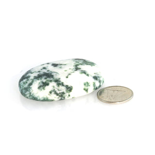 Green Tree Agate Worry Stone    from The Rock Space