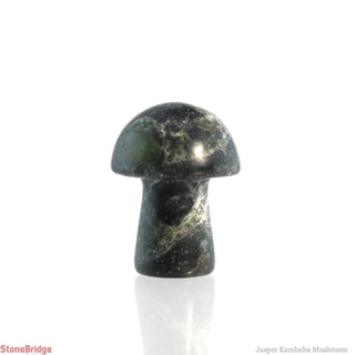 Kambaba Jasper Mushroom    from The Rock Space