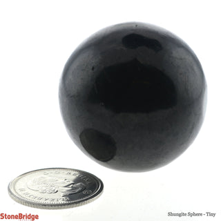 Shungite Sphere - Tiny    from The Rock Space