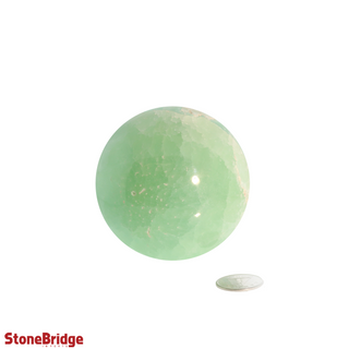 Calcite Green Sphere - Medium #1 - 2 3/4"    from The Rock Space