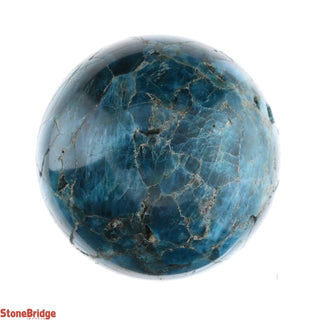 Apatite Blue Sphere - Small #4 - 2 1/2"    from The Rock Space