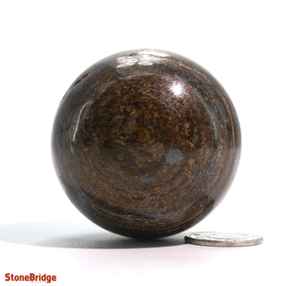 Bronzite Sphere - Extra Small #4 - 2"    from The Rock Space