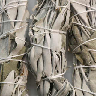 White Sage Cleansing Stick - Local & Organic - 3 Pack    from Stonebridge Imports
