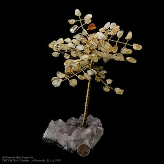 Citrine Wired Gem Tree 8" Tall    from The Rock Space