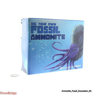 Dig Your Own - Ammonite Fossil - Excavation Kit    from The Rock Space