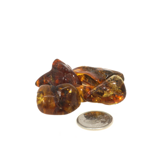 Amber Baltic E Tumbled Stones from The Rock Space
