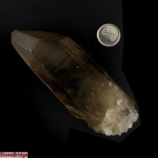 Smoky Lemurian Points #2 - 100g to 199g    from Stonebridge Imports