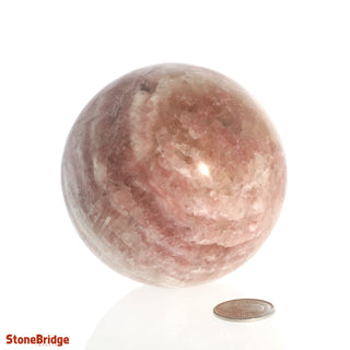 Calcite Rose Sphere - Medium #3 - 2 3/4"    from The Rock Space