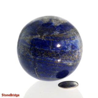 Lapis Lazuli A Sphere - Small #3 - 2 1/4"    from The Rock Space