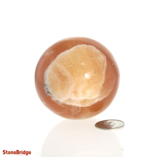 Calcite Honey Sphere - Small #1 - 2 1/4"    from The Rock Space