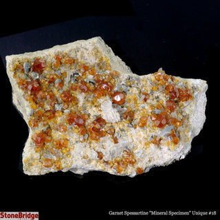 Garnet Spessartine Cluster U#18    from The Rock Space