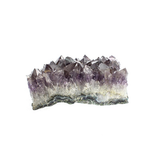 Amethyst Cluster U#45 - 6"    from The Rock Space