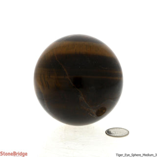 Tiger Eye Sphere - Medium #3 - 2 3/4"    from The Rock Space