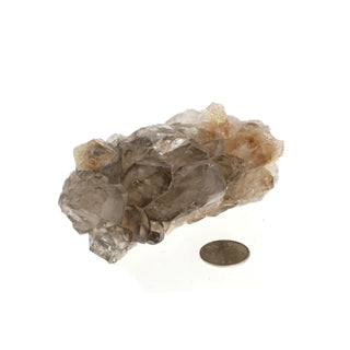 Smoky Quartz Elestial  #4 - 2 1/4" to 4"    from Stonebridge Imports