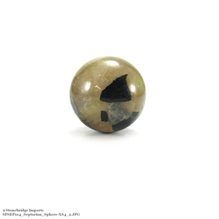 Septarian Sphere from The Rock Space