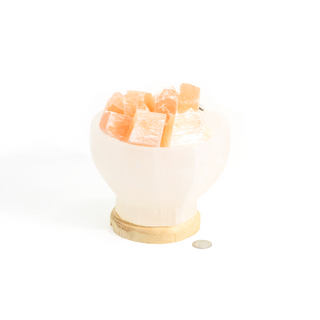 Selenite Lamp Bowl with Orange Chips - 6" from The Rock Space