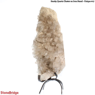 Smoky Quartz Cluster on Iron Stand U#17 - 12"    from The Rock Space