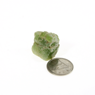 Peridot Rare Rough Natural Specimens - Extra large    from The Rock Space