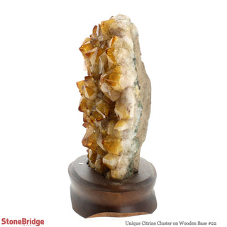 Citrine Cluster on Wood Base U#22 - 8 1/2"    from The Rock Space