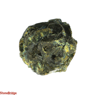 Marcasite Nodules Specimens #5 - 40g to 50g    from Stonebridge Imports