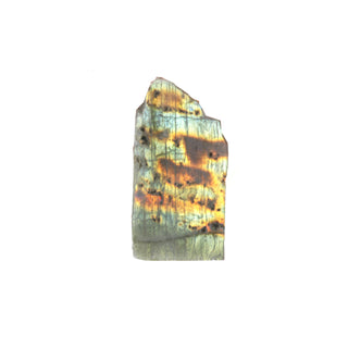 Labradorite Top Polished Slice #1    from The Rock Space