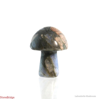 Labradorite Mushroom    from The Rock Space