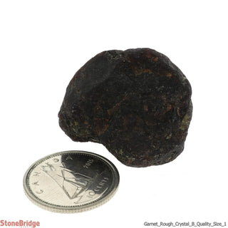 Garnet Rough B #1 - 1/2" to 1"    from The Rock Space