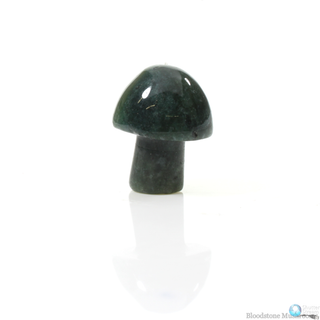 Bloodstone Mushroom - 3 Pack    from The Rock Space