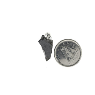 Shungite Elite Noble Pendant    from The Rock Space