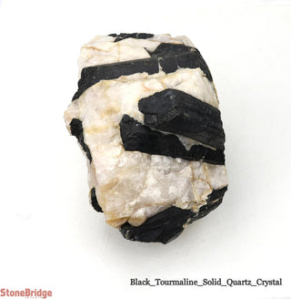 Black Tourmaline on Quartz Matrix U#2    from The Rock Space
