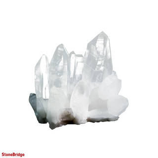 Lemurian Quartz Cluster U#1 - Super Clear - 35lb - 13" from The Rock Space
