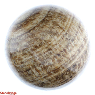 Brown Aragonite Sphere from Stonebridge Imports