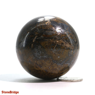 Bronzite Sphere - Extra Small #4 - 2"    from The Rock Space