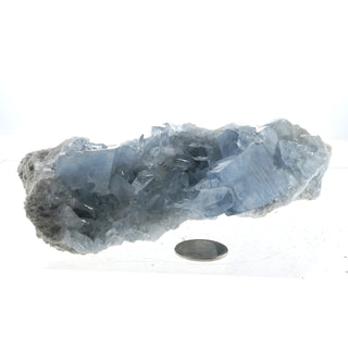 Celestite Geode #3 - 300g to 500g    from The Rock Space