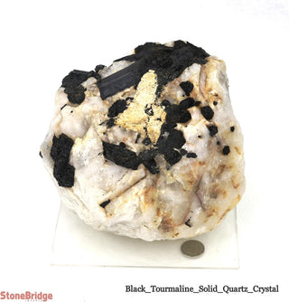 Black Tourmaline on Quartz Matrix U#4    from The Rock Space