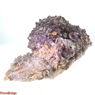 Amethyst Cluster Thunder Bay U#16 - 1.7Kg    from The Rock Space