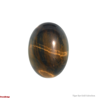 Tiger Eye Gold Cabochon #1    from The Rock Space