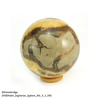 Septarian Sphere from Stonebridge Imports