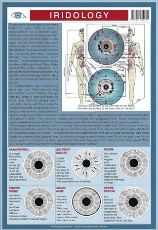 QuickStudy Guide - Iridology    from The Rock Space