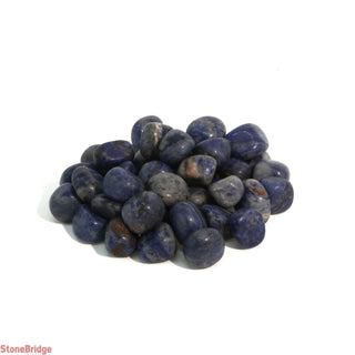 Sodalite B Tumbled Stones - India Medium from Stonebridge Imports