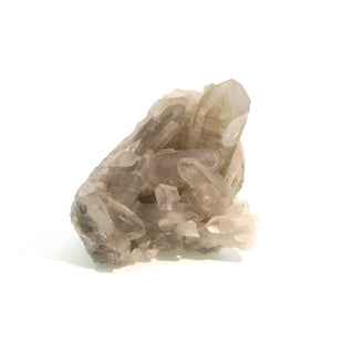 Smoky Quartz Cluster U#4    from The Rock Space