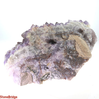 Amethyst Cluster Thunder Bay U#10 - 1.5Kg    from The Rock Space