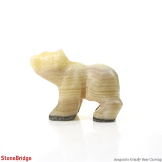 Honey Aragonite Bear Carving #1 - 3"    from The Rock Space