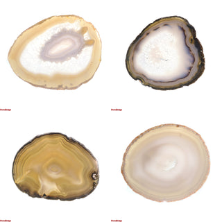 Agate Slices #3 - 3 1/2" to 5"
